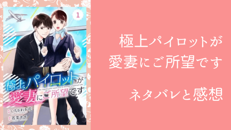 極上パイロットが愛妻にご所望です ネタバレ最新話17話 思わぬ再会