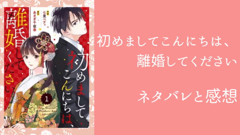 初めましてこんにちは 離婚してください ネタバレ最新話27話 大人げない男